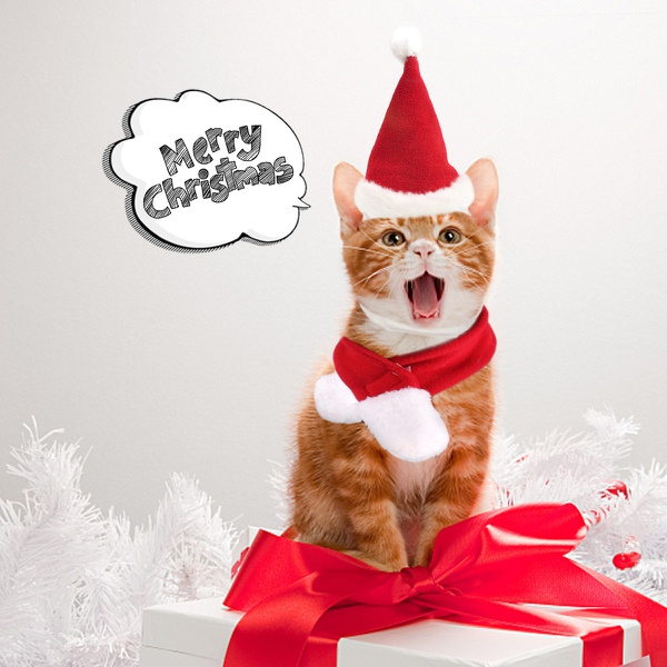 Christmas hats and scarves suits for cats and dogs small pets